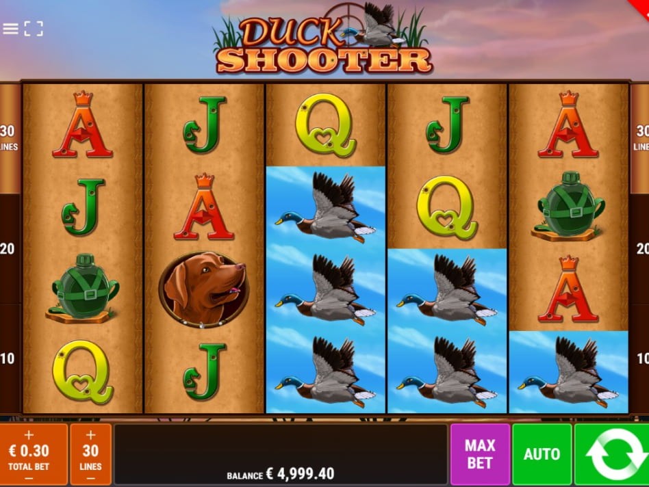 Duck Shooter