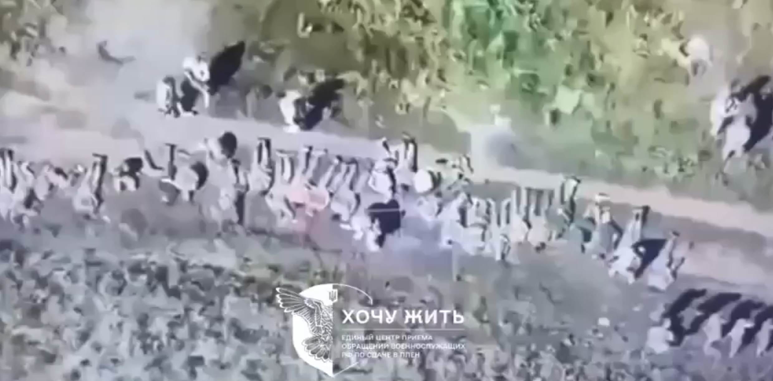 Том Купер
