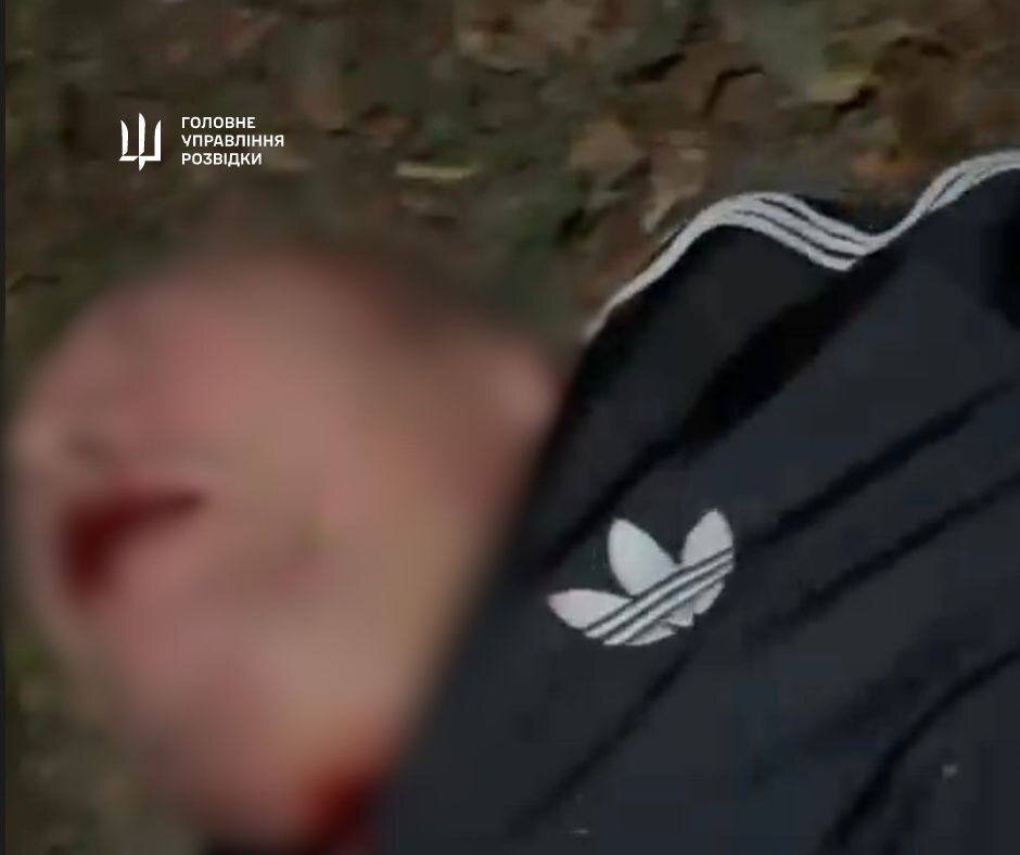Алексей Коломейцев