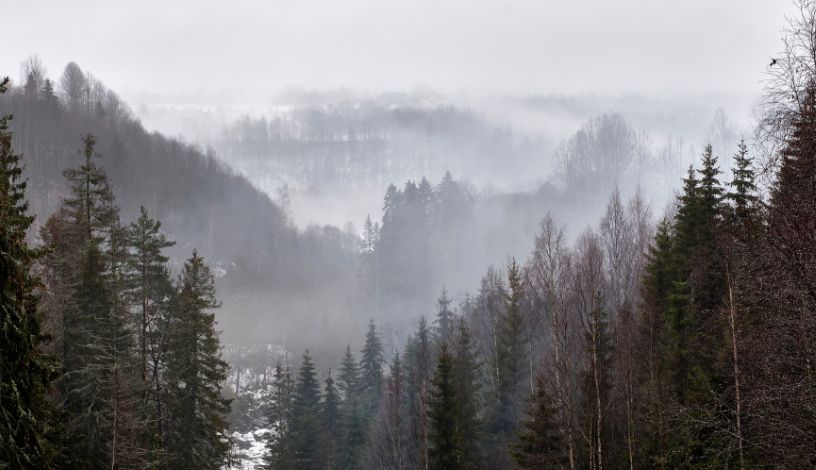 прогноз погоды